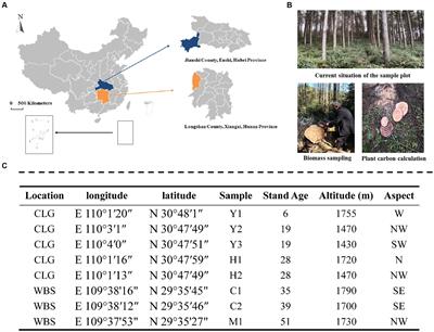 Tree age affects carbon sequestration potential via altering soil bacterial community composition and function